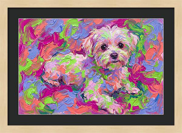 Maltese In Vibrant Colors