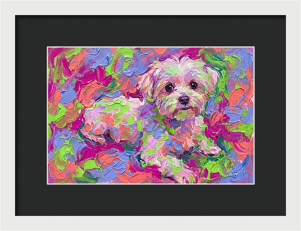 Maltese In Vibrant Colors