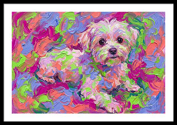 Maltese In Vibrant Colors