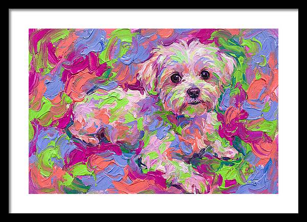 Maltese In Vibrant Colors