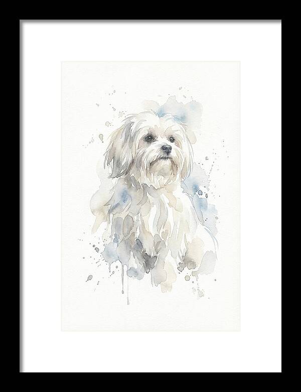 Maltese Watercolor Portrait