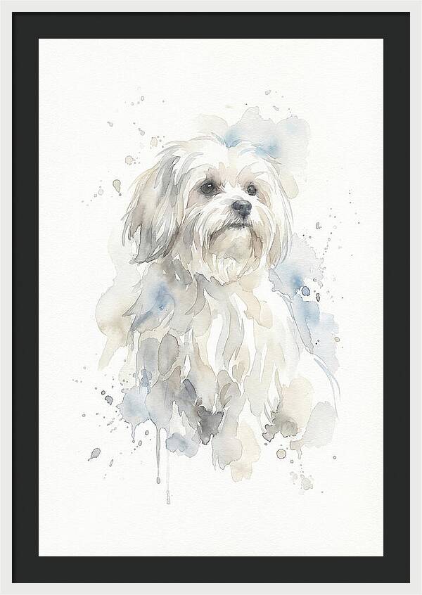 Maltese Watercolor Portrait