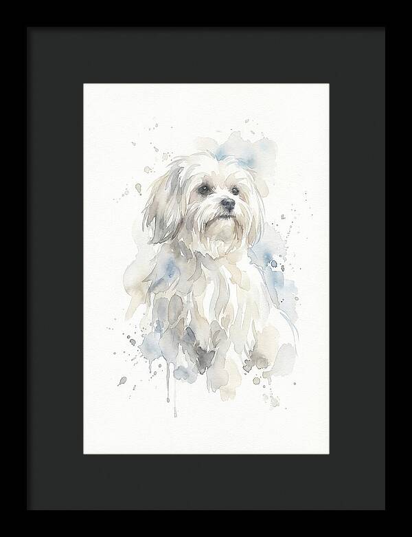 Maltese Watercolor Portrait