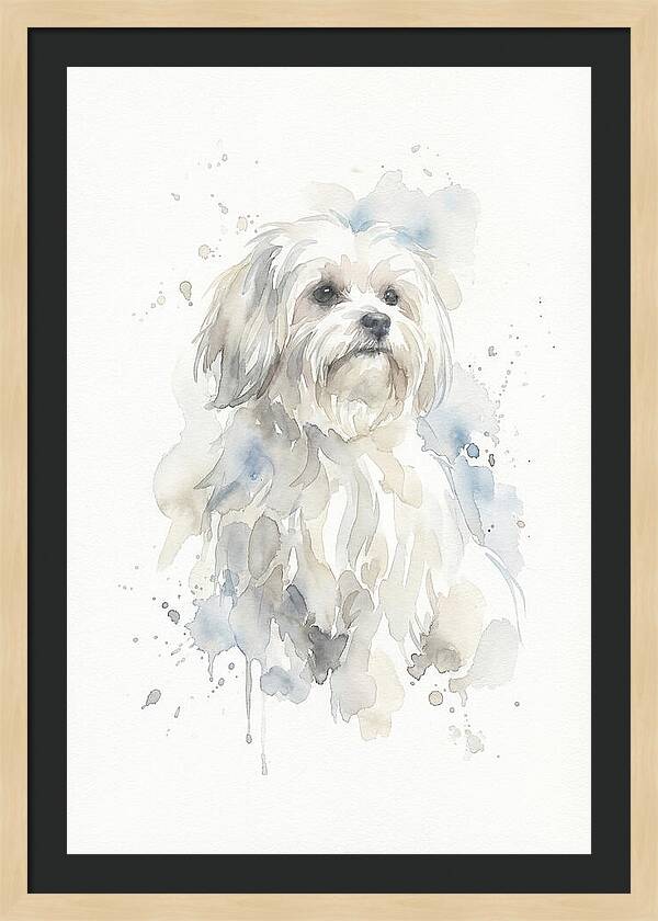 Maltese Watercolor Portrait