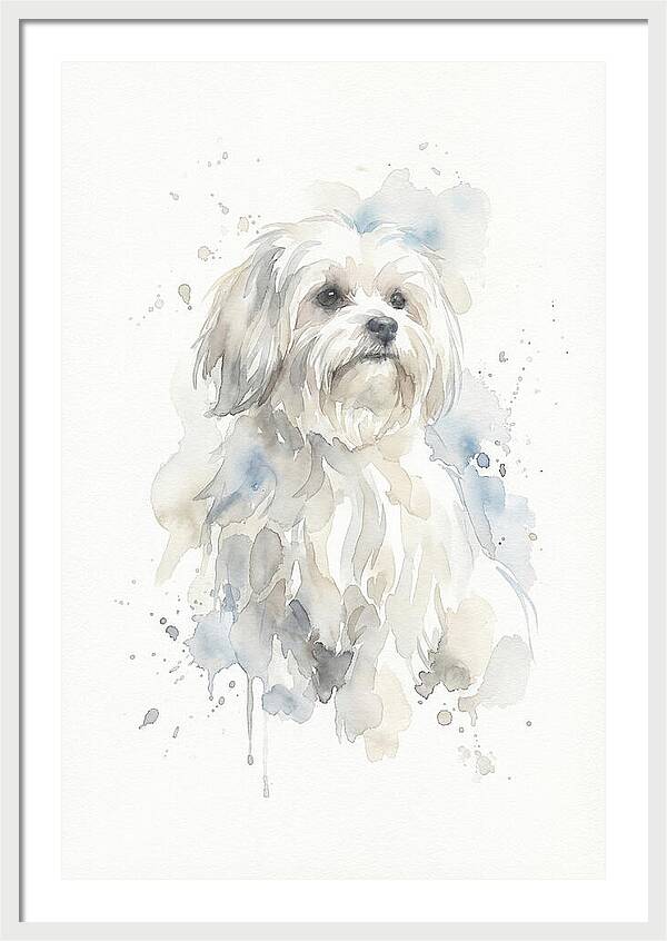 Maltese Watercolor Portrait