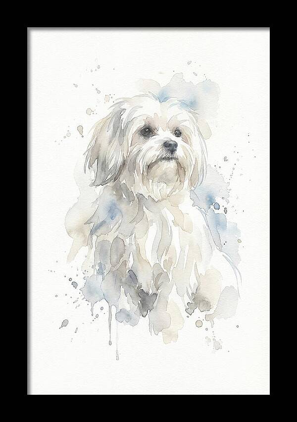 Maltese Watercolor Portrait