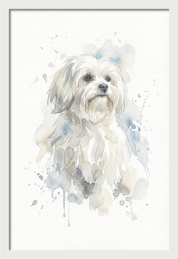Maltese Watercolor Portrait