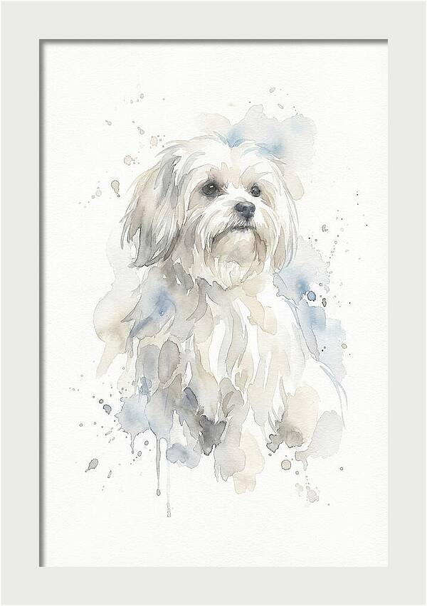 Maltese Watercolor Portrait
