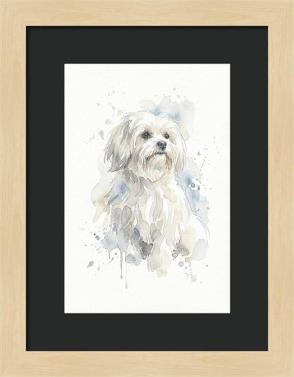 Maltese Watercolor Portrait