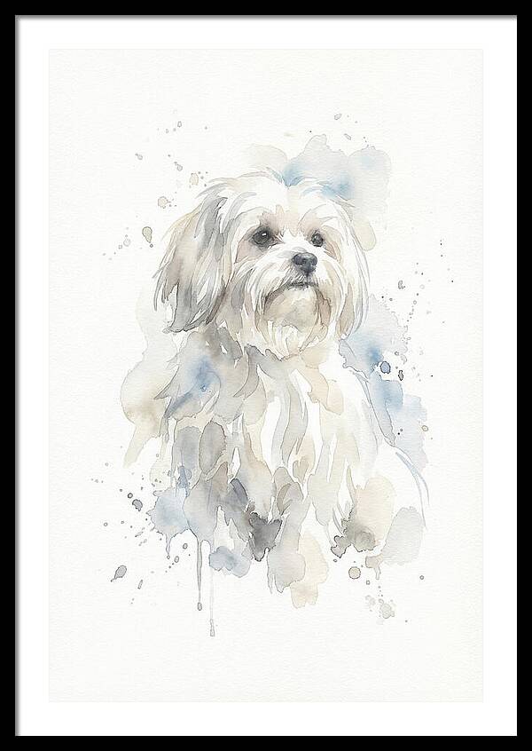 Maltese Watercolor Portrait