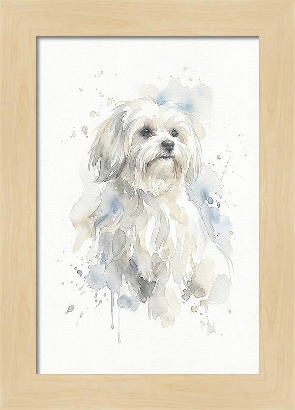Maltese Watercolor Portrait