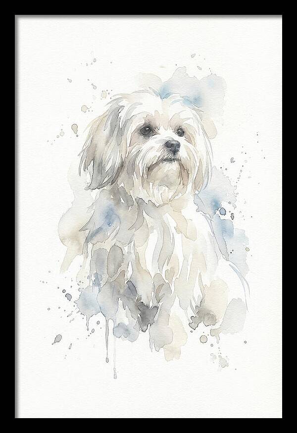 Maltese Watercolor Portrait
