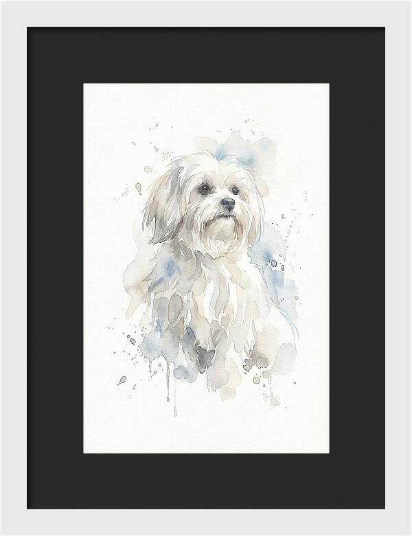Maltese Watercolor Portrait