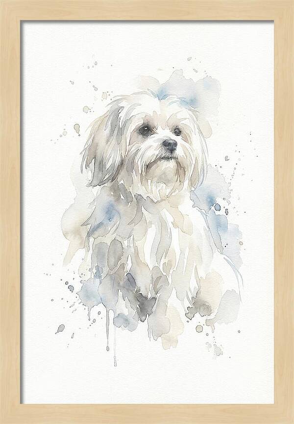 Maltese Watercolor Portrait