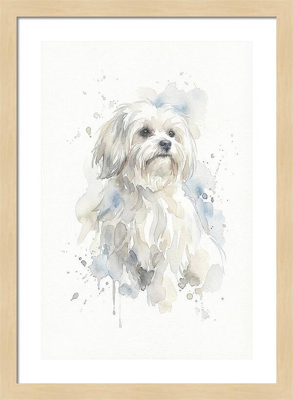 Maltese Watercolor Portrait