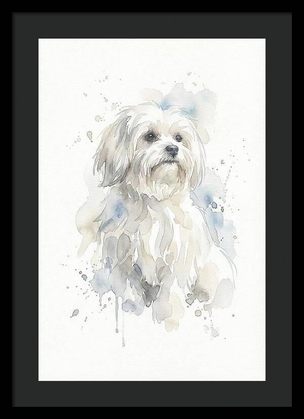 Maltese Watercolor Portrait
