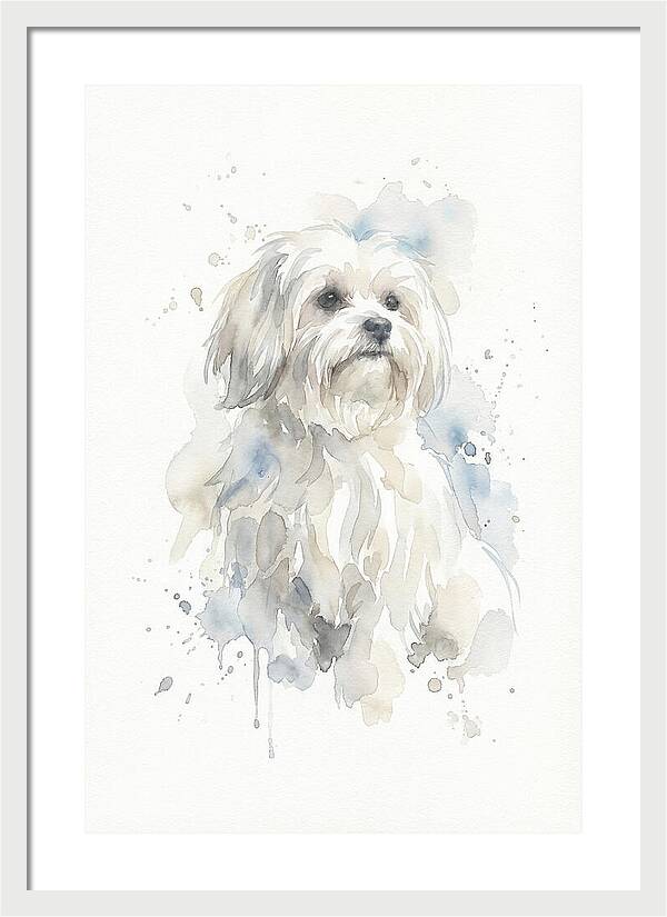 Maltese Watercolor Portrait