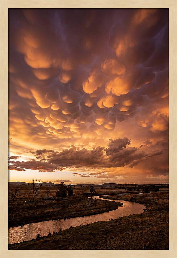 Mammatus Clouds At Dusk