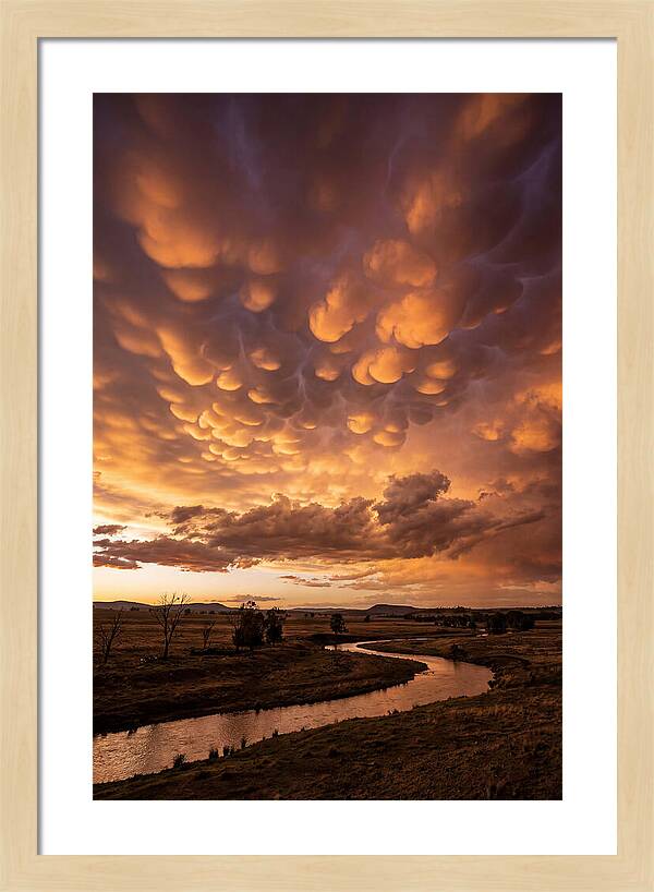 Mammatus Clouds At Dusk