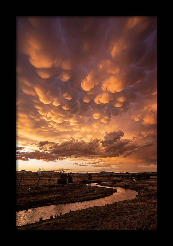Mammatus Clouds At Dusk
