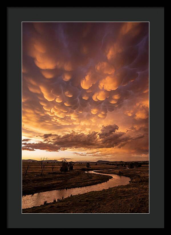 Mammatus Clouds At Dusk