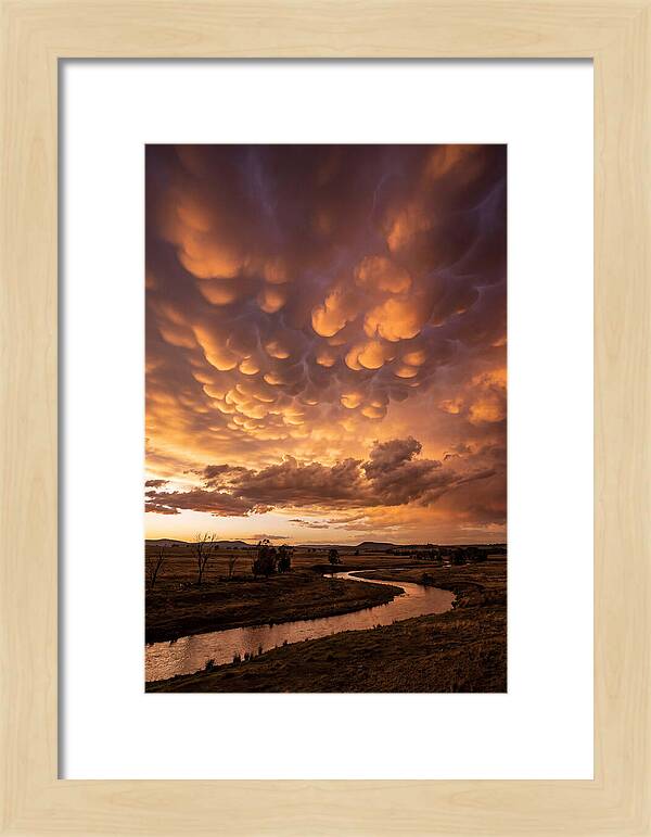 Mammatus Clouds At Dusk