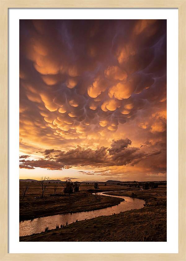 Mammatus Clouds At Dusk