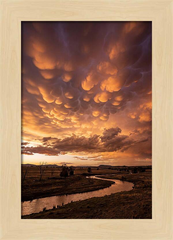 Mammatus Clouds At Dusk