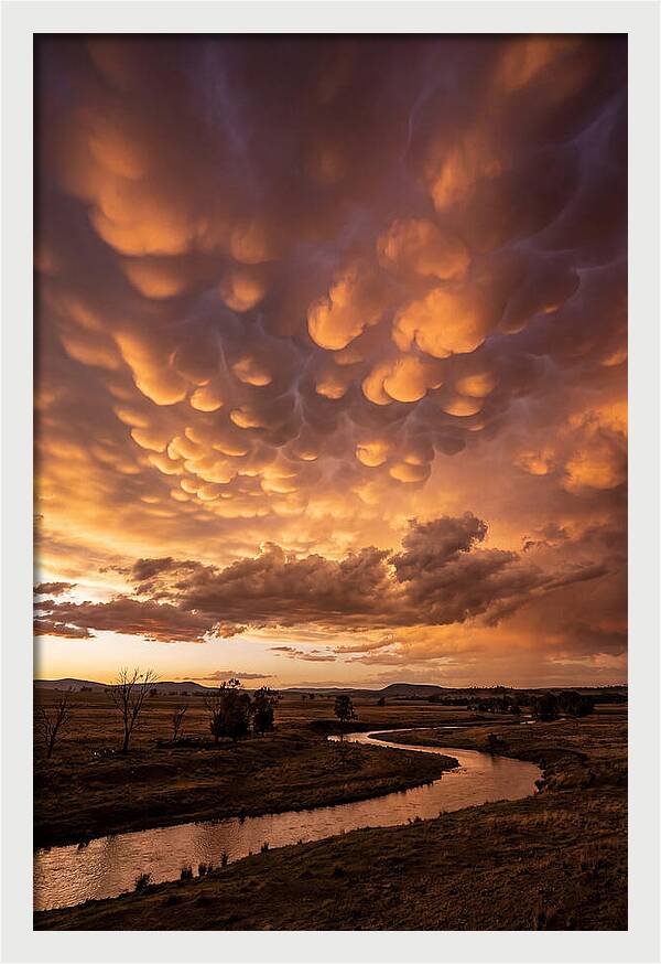 Mammatus Clouds At Dusk