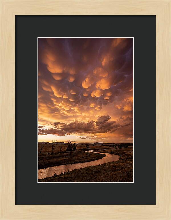 Mammatus Clouds At Dusk