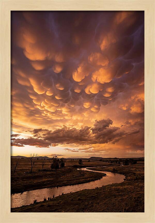 Mammatus Clouds At Dusk