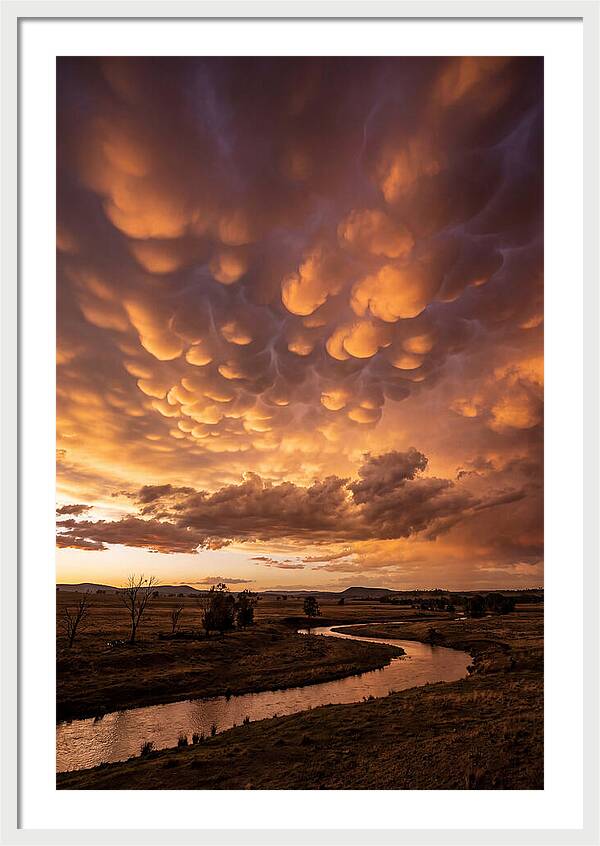 Mammatus Clouds At Dusk