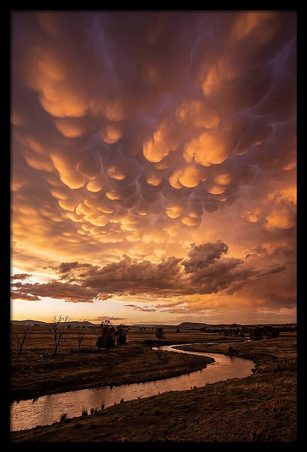 Mammatus Clouds At Dusk