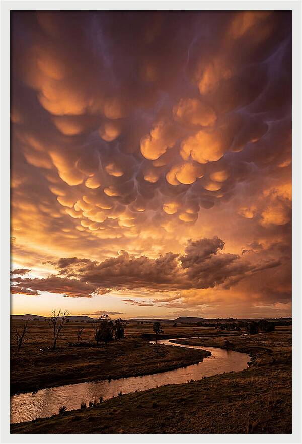 Mammatus Clouds At Dusk