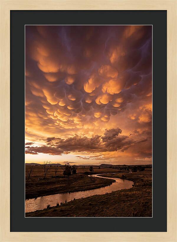 Mammatus Clouds At Dusk
