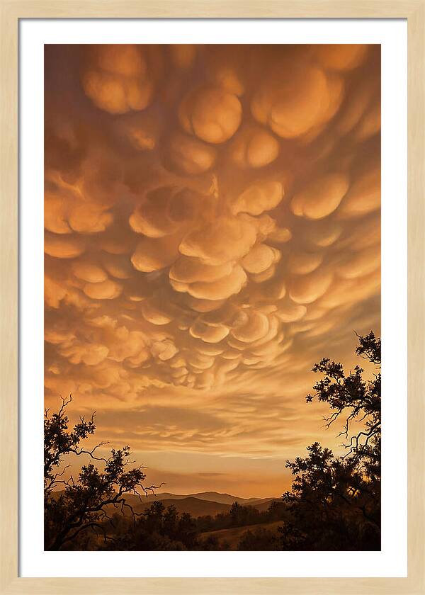 Mammatus Clouds At Sunset