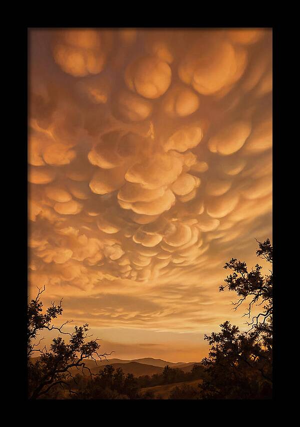 Mammatus Clouds At Sunset