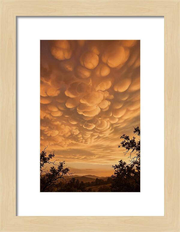 Mammatus Clouds At Sunset