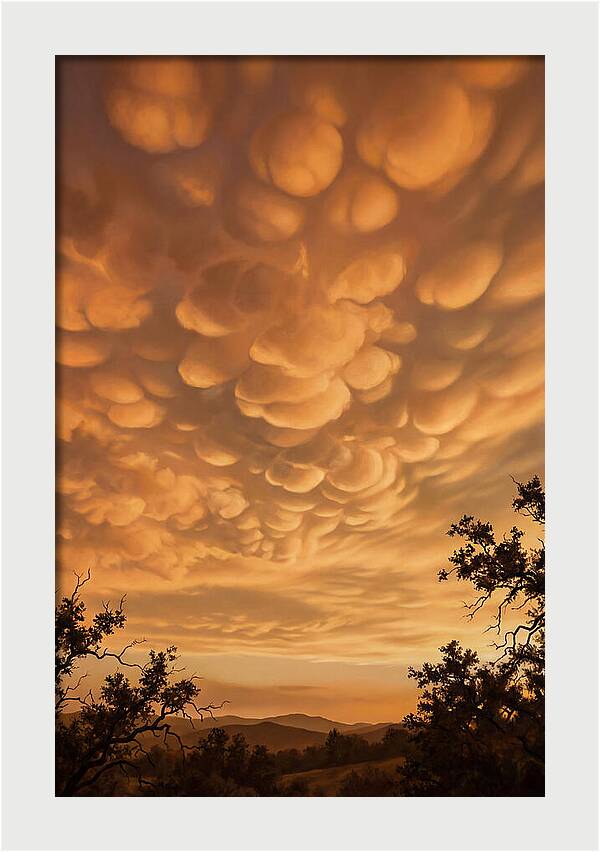 Mammatus Clouds At Sunset