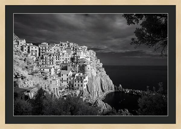 Manarola At Blue Hour