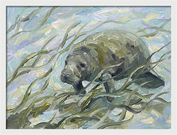 Manatee Among Sea Grass