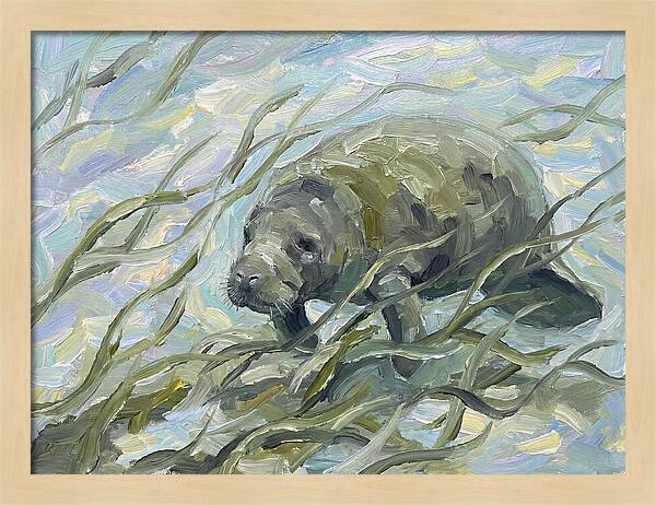 Manatee Among Sea Grass
