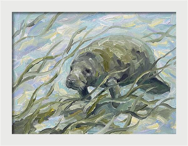 Manatee Among Sea Grass