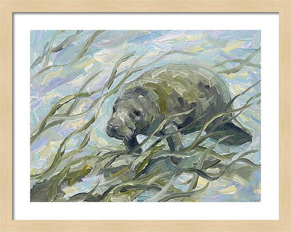 Manatee Among Sea Grass