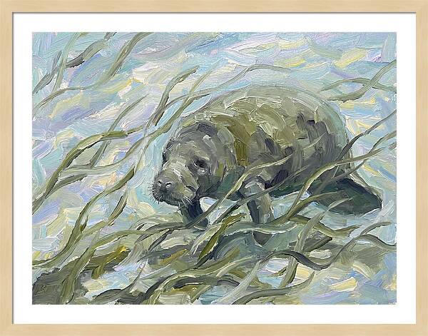 Manatee Among Sea Grass