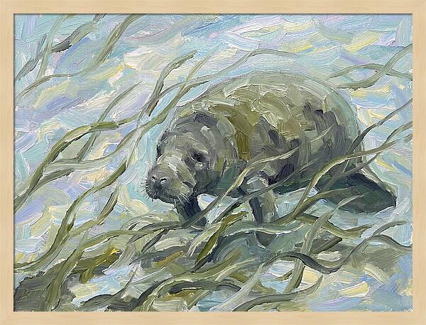 Manatee Among Sea Grass