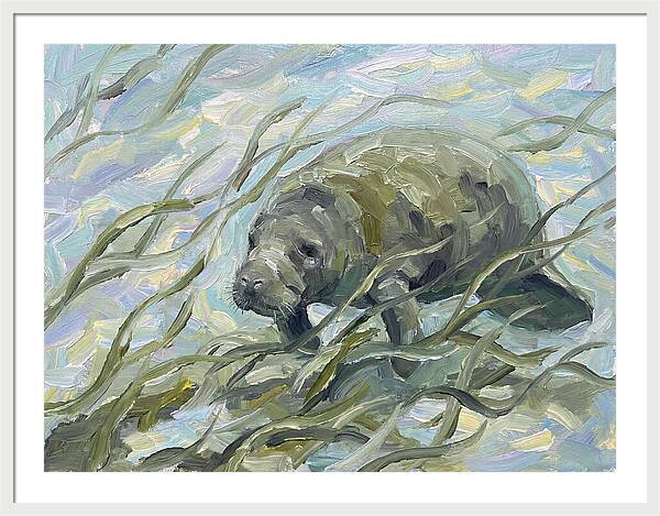 Manatee Among Sea Grass