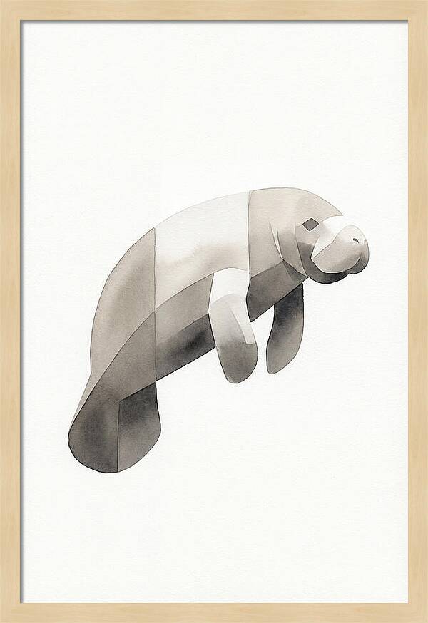 Manatee Minimalism