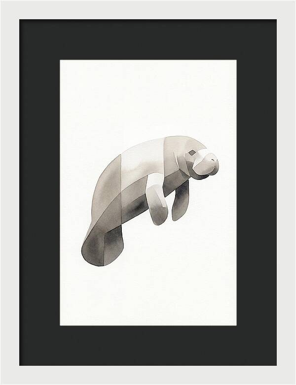 Manatee Minimalism