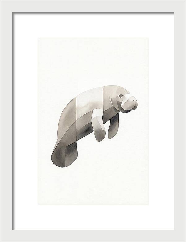 Manatee Minimalism